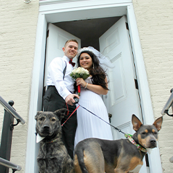 Wedding_Lighthouse_250x250 Bride and groom with 2 dogs at the cape may lighthouse