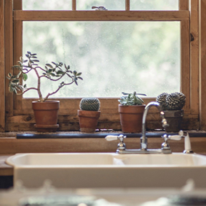 Kitchen Tour_generic 600×600 close up of a beautiful farm sink in front of a window with a wooden frame, and succulent plants on the ledge.