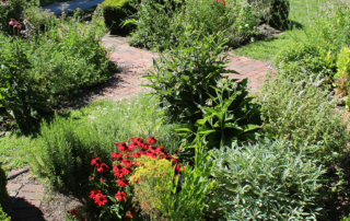 a fully bloom green garden in the spring
