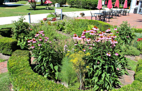 Physick Estate Garden in Cape May New Jersey