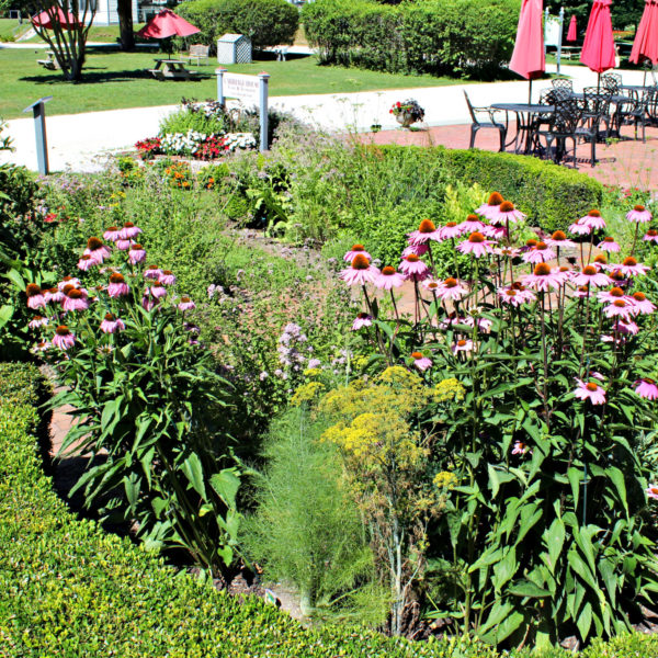 Physick Estate Garden in Cape May New Jersey