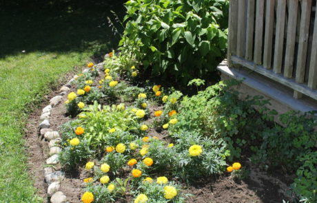 Physick Estate Garden in Cape May New Jersey