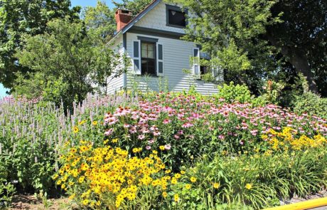 garden at the emlen physick estate