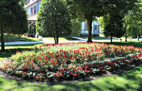 garden at the emlen physick estate