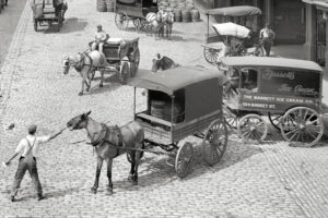 black and white horse drawn ice cream cart