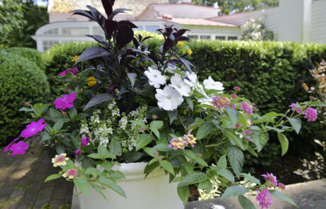 Gardens of CApe May Tour 20240615 (7)