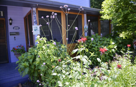 Gardens of Cape May Tour 20240615 (4)